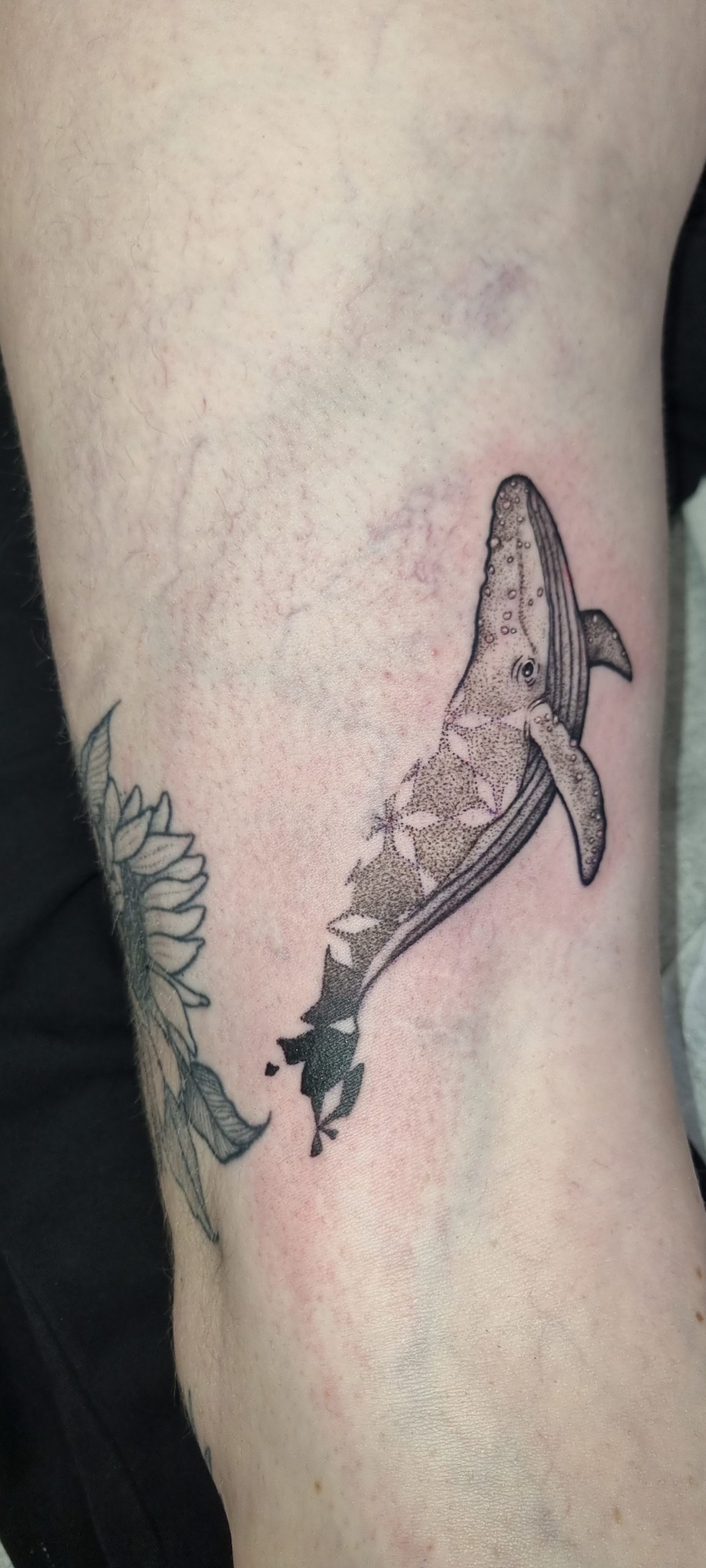 Tatouage baleine graphique dotwork