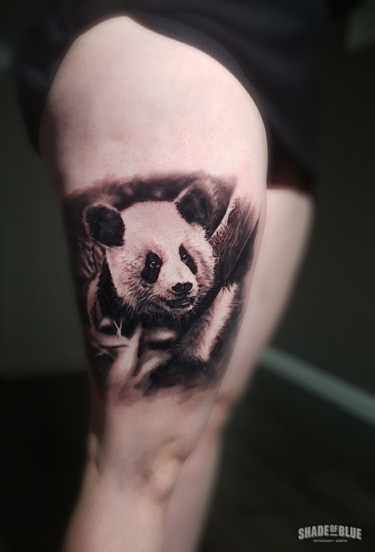 Tatouage realiste animaux panda noir et gris