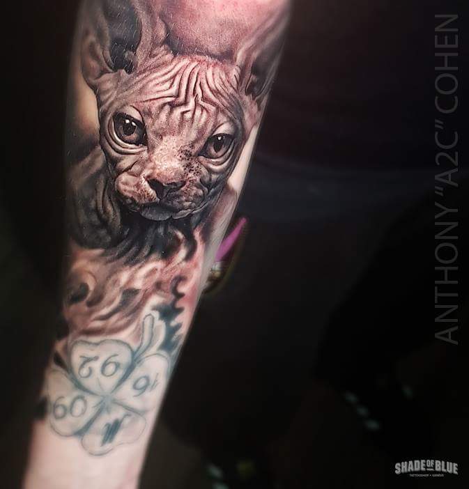 Tatouage realiste animaux sphinx chat noir et gris