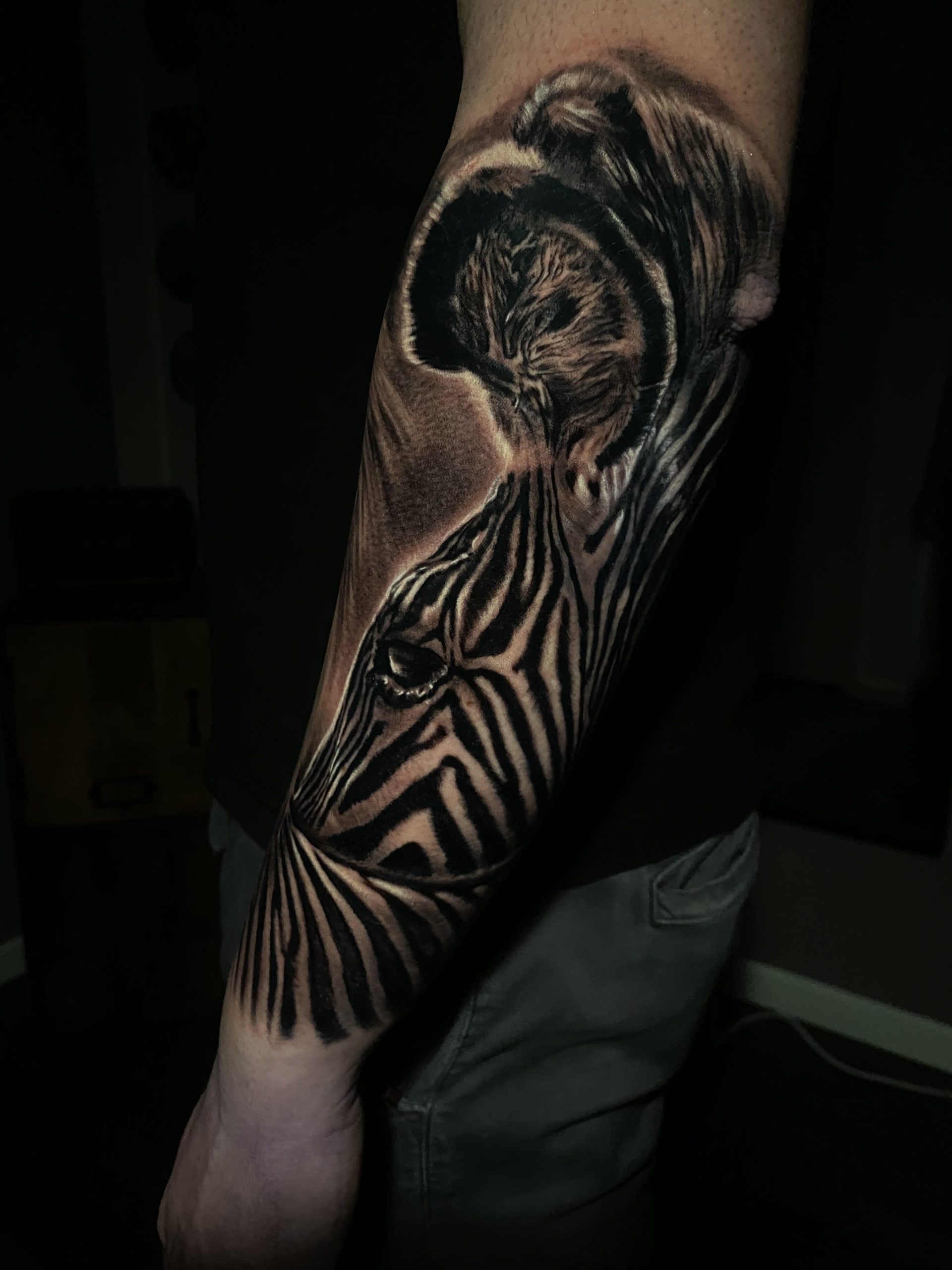 Tatouage réaliste noir et gris d'un zèbre